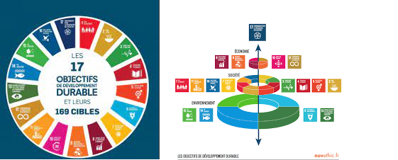 17 OBJECTIFS DE DEVELOPPEMENT DURABLE 