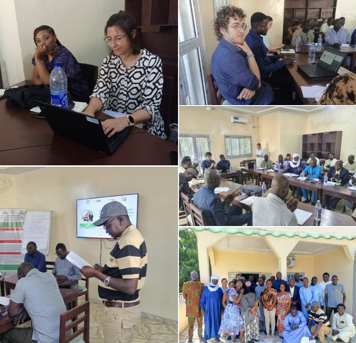 Présentation des résultats partiels des recherches malacologiques