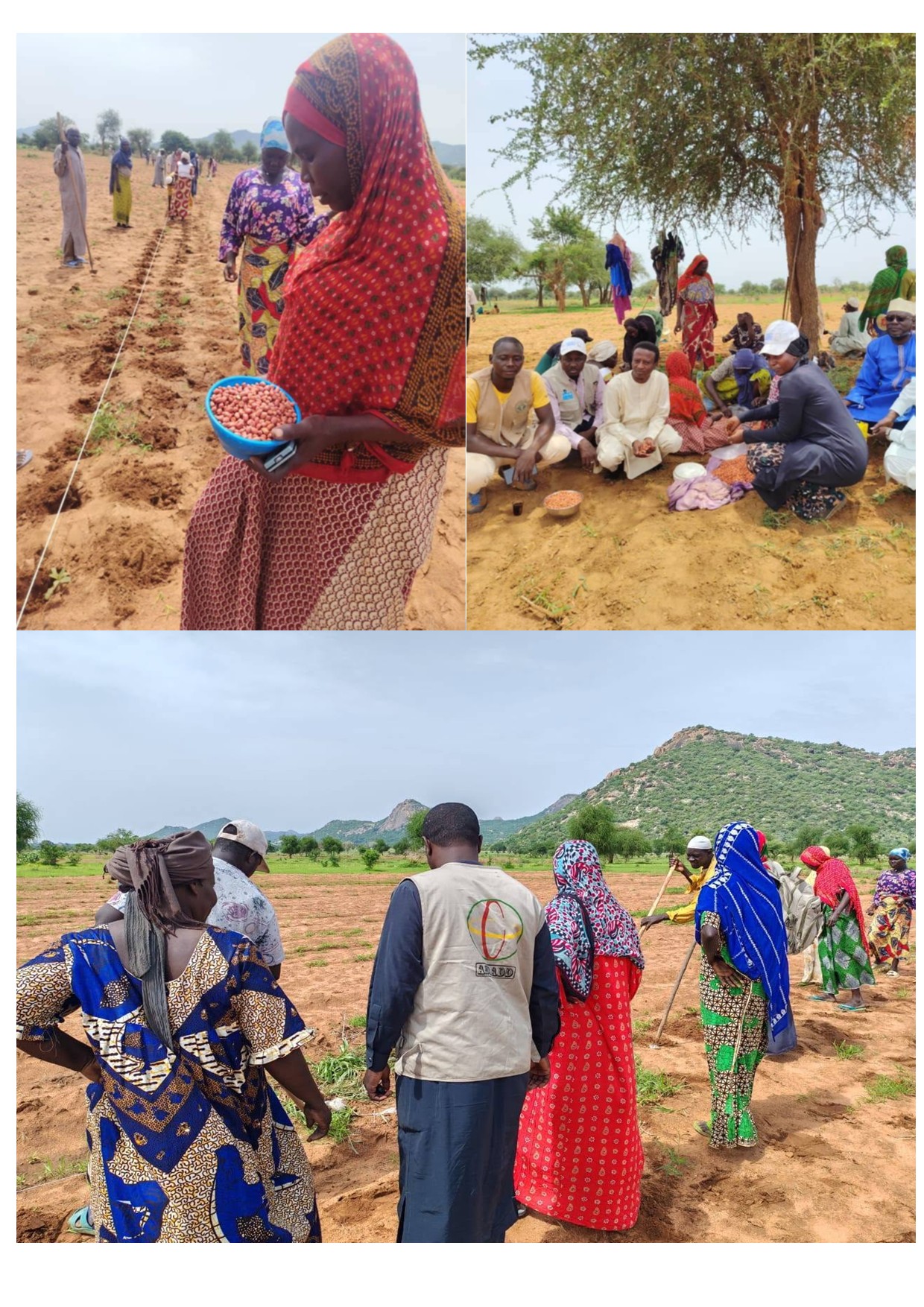 Projet de résilience nutritionnelle, en partenariat avec UNICEF TCHAD,