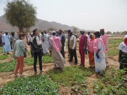 la sécurité alimentaire